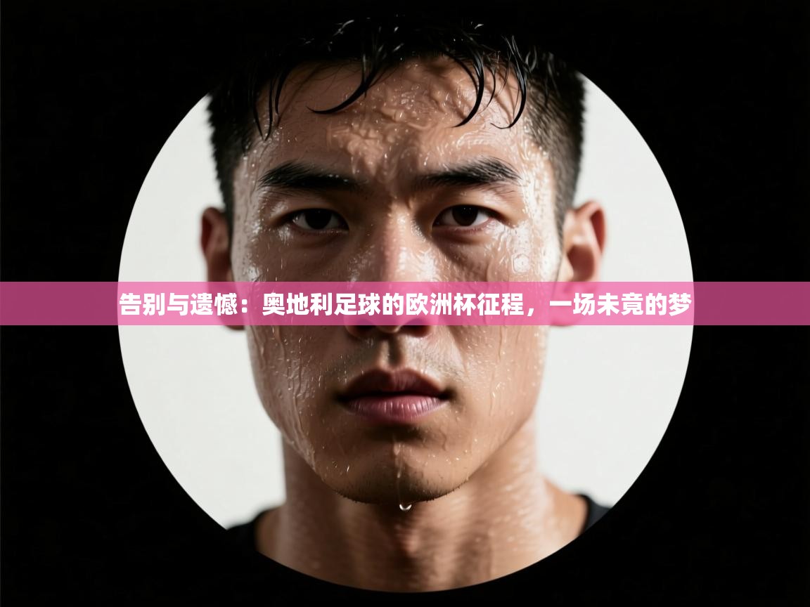 告别与遗憾:奥地利足球的欧洲杯征程,一场未竟的梦 第2张