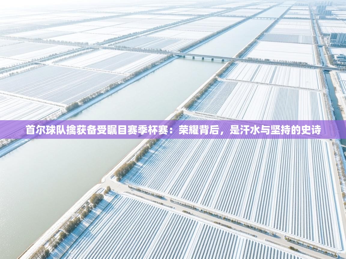 首尔球队擒获备受瞩目赛季杯赛：荣耀背后，是汗水与坚持的史诗  第2张