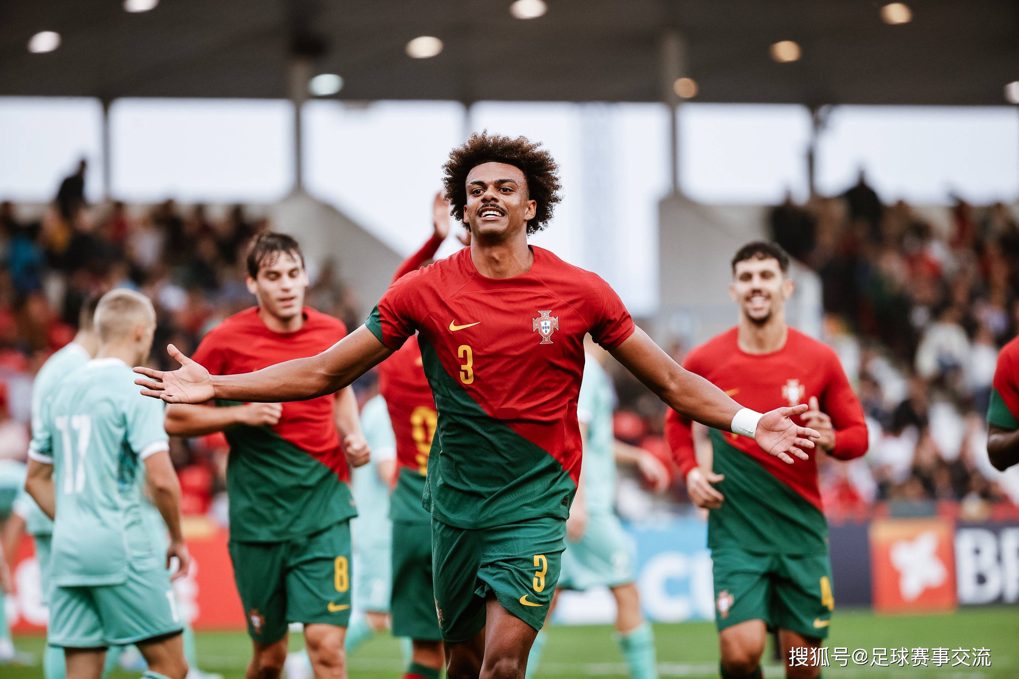 斯洛文尼亚主场不敌捷克，小组退出仍悬的简单介绍