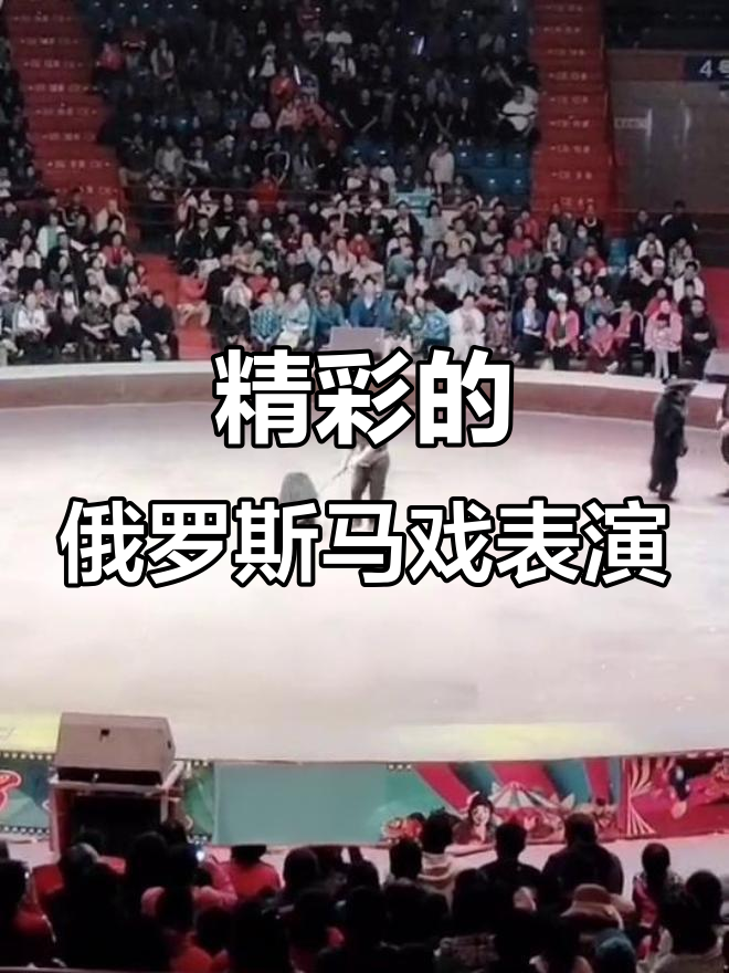 开云体育app下载-精彩绝伦的比赛引发了现场观众的欢呼