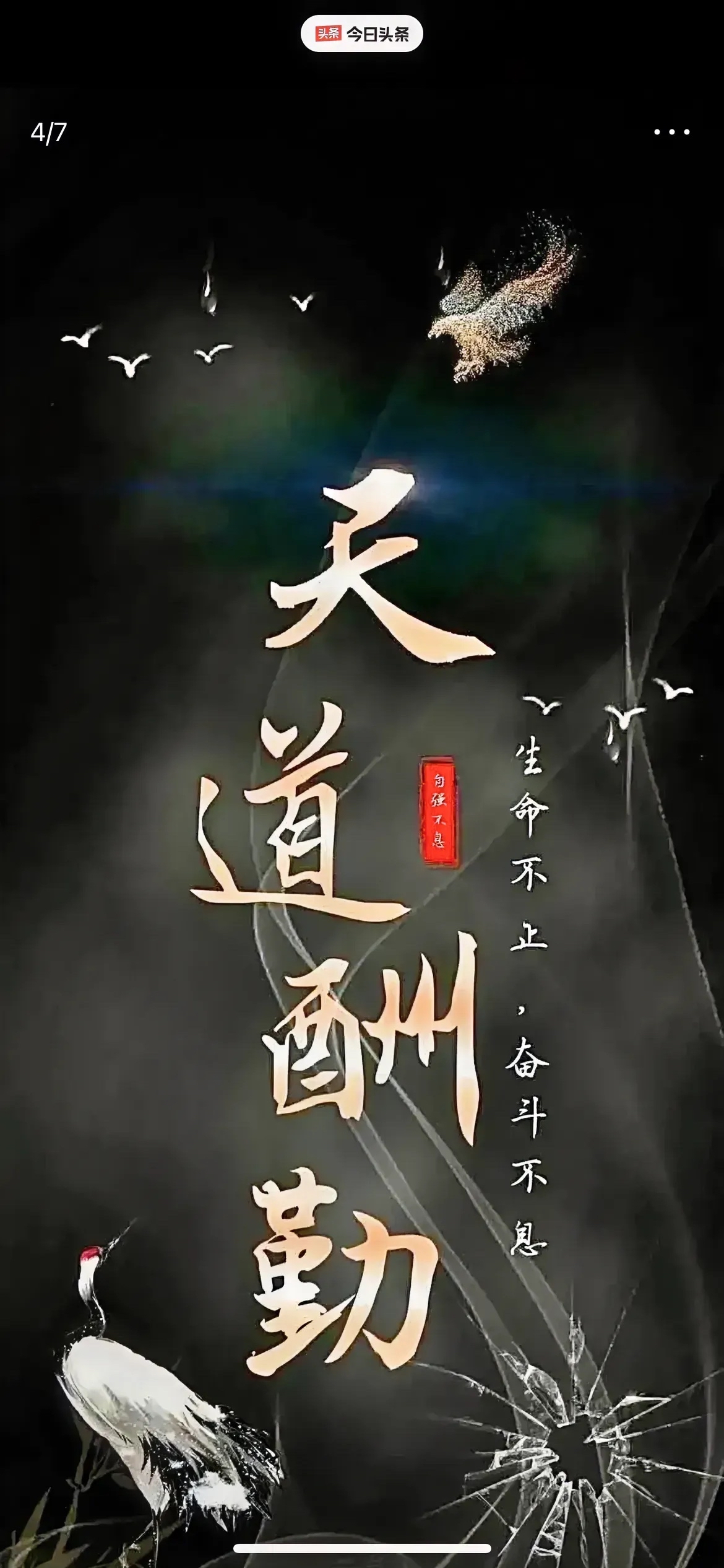 里尔止步不前，法甲冠争悬念愈发增加的简单介绍